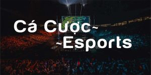 Esport MIG8 a