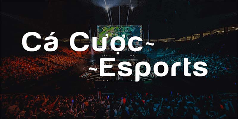 Esport MIG8 a